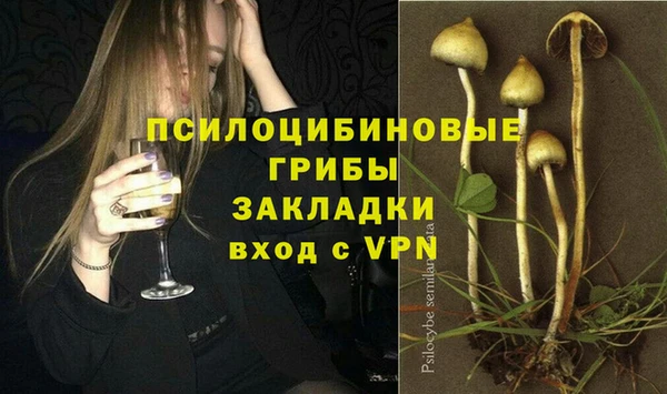 эйфоретик Богданович